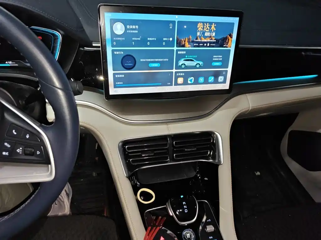 BYD PLUS New Energy — миниатюра 16