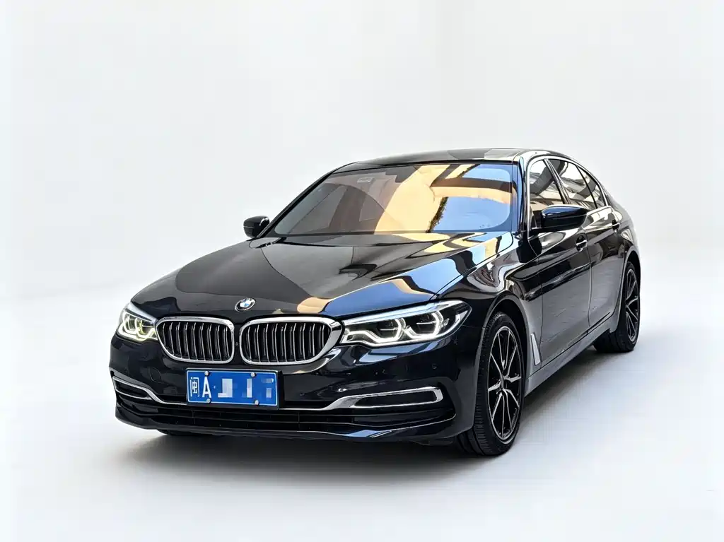 BMW 5 Series 2020 530Li Premium Type Luxury Package