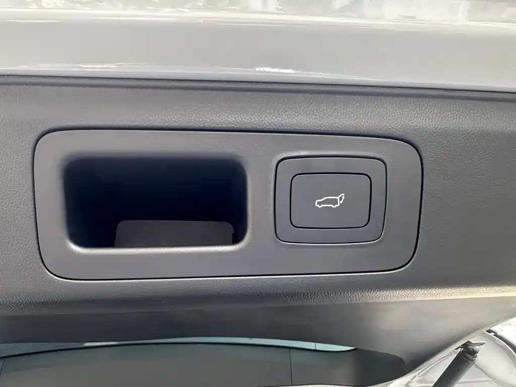 Maxus Dajia 9 — миниатюра 9