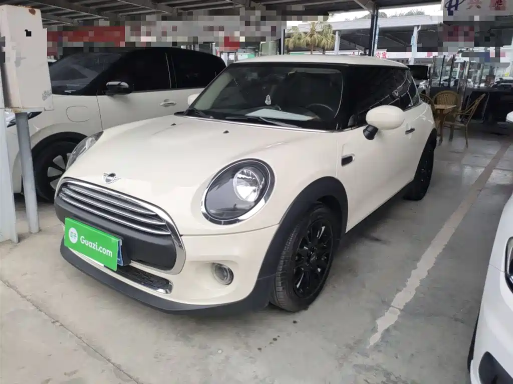 Mini Mini 2020
