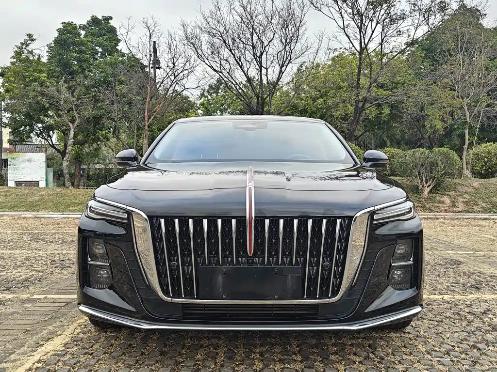 Hongqi Hongqi H5 — миниатюра 2