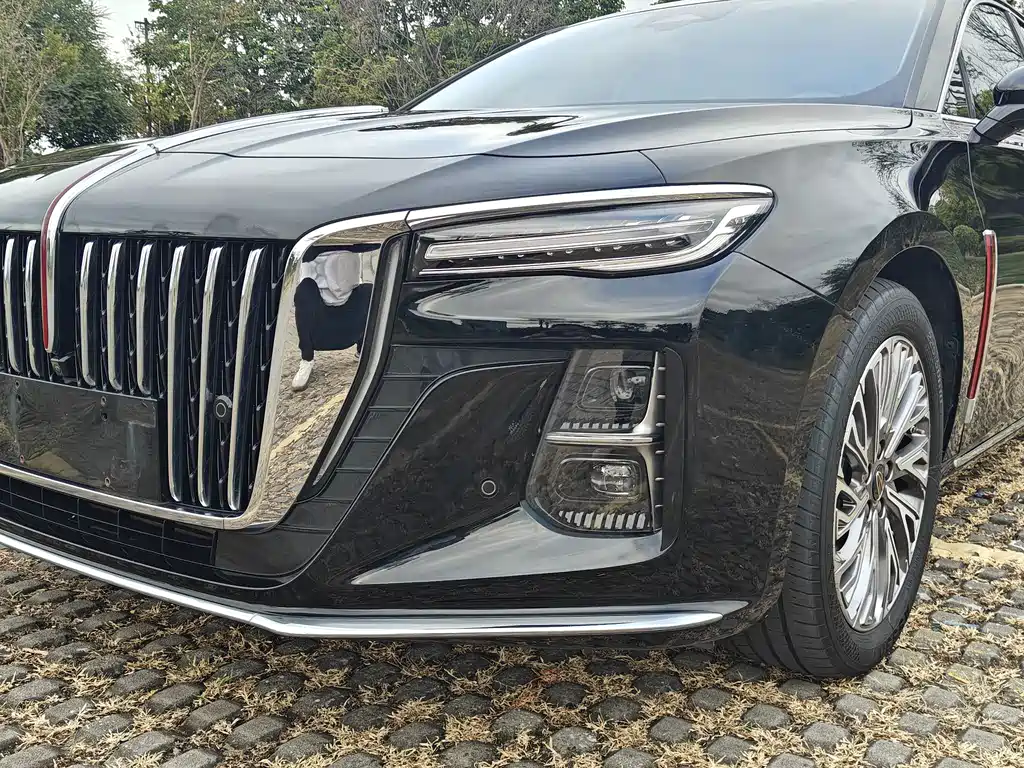 Hongqi Hongqi H5 — миниатюра 23