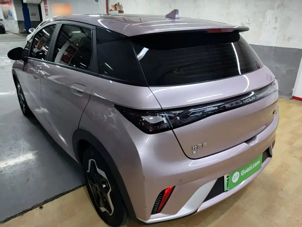 BYD Dolphin 2021 405km Fashion