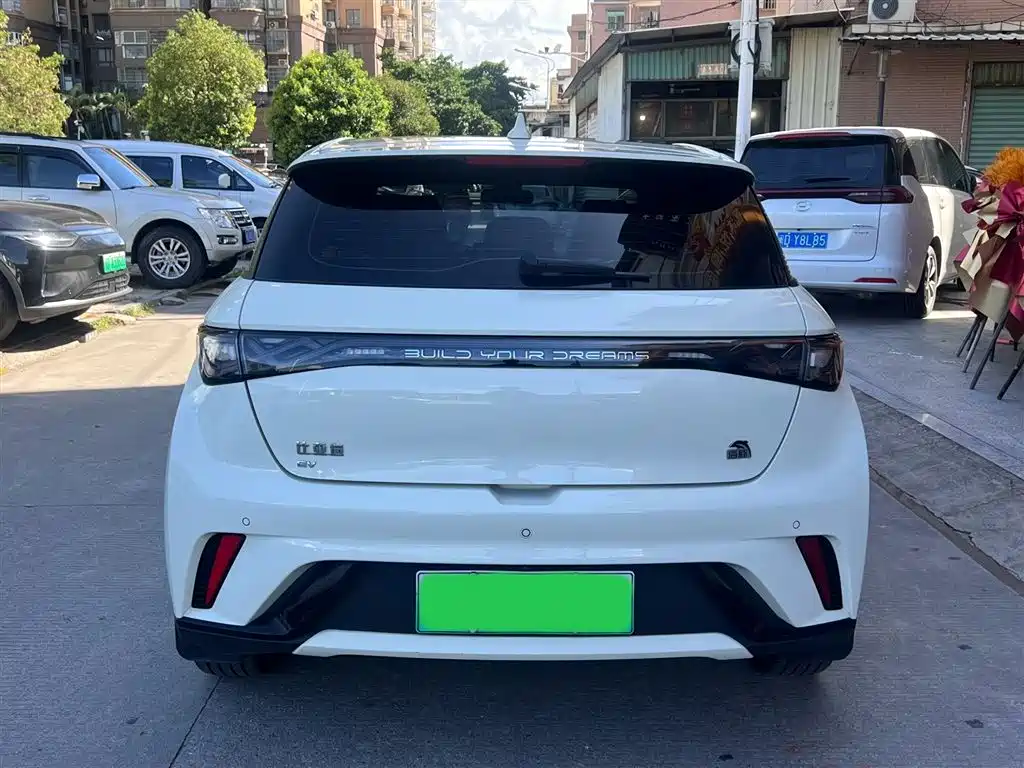 BYD Dolphin 2023 420km Fashion