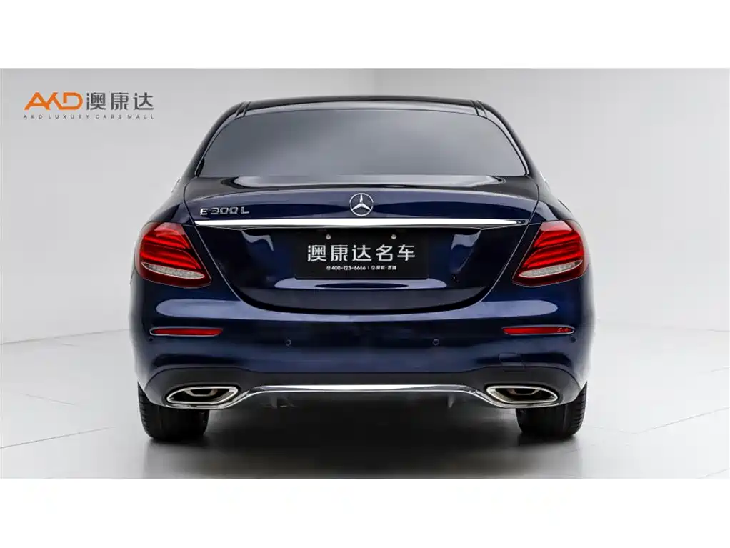 Mercedes-Benz E-Class E 2019 E 300 L Sport Fashion