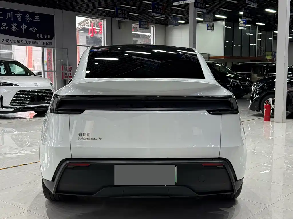 Tesla Model Y — миниатюра 2