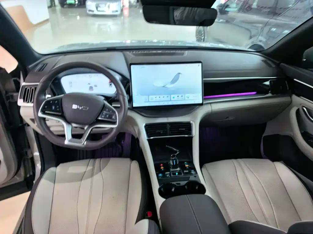 BYD PLUS New Energy — миниатюра 10