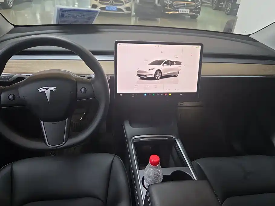 Tesla Model Y — миниатюра 12