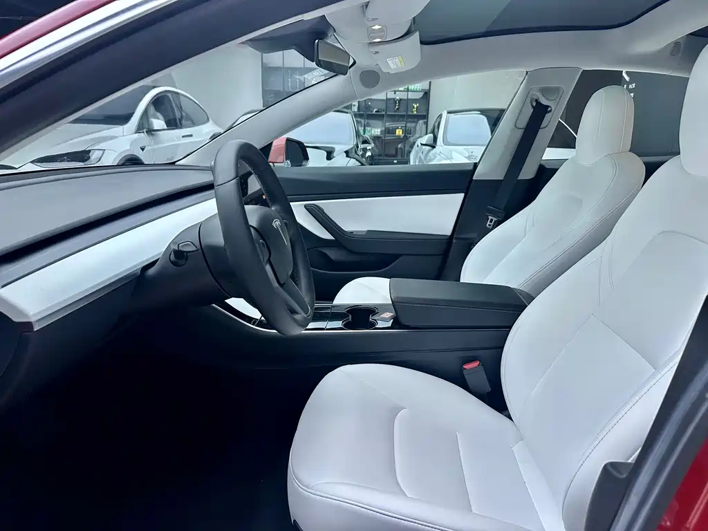 Tesla Model 3 — миниатюра 14