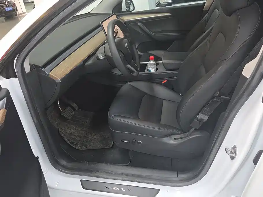 Tesla Model Y — миниатюра 9