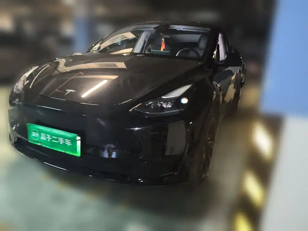 Tesla Model Y — миниатюра 2