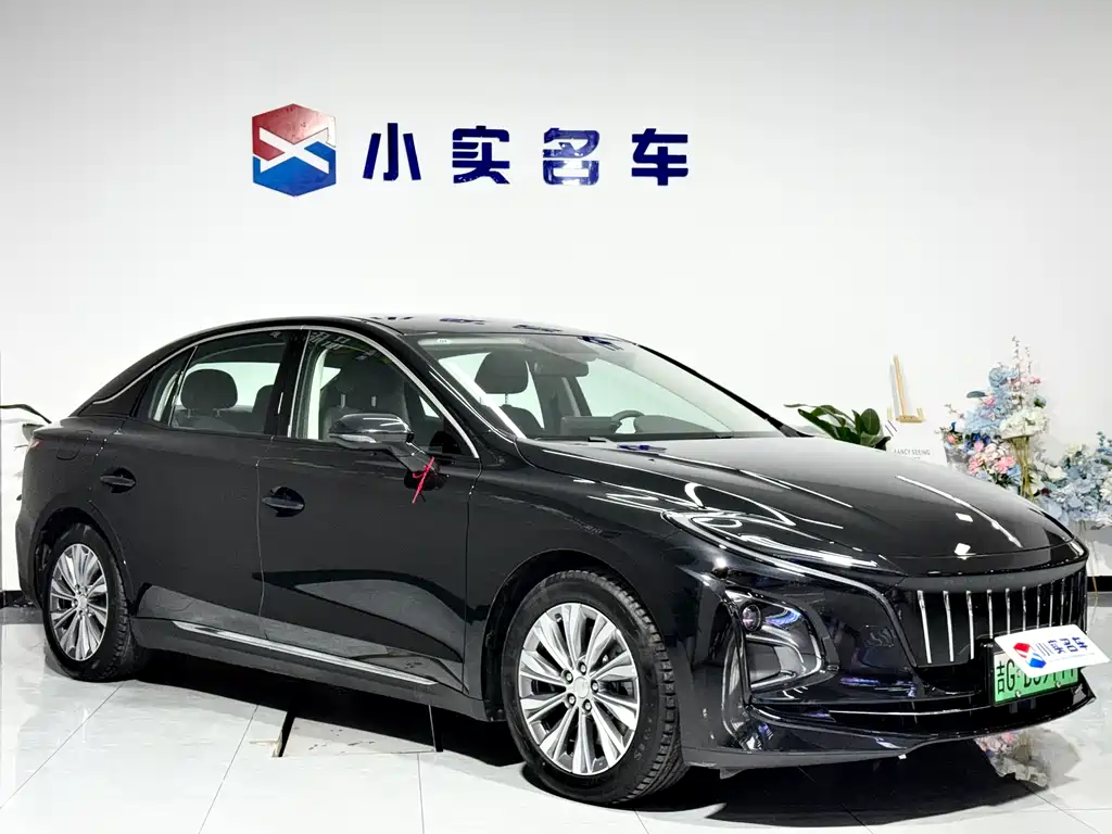 Hongqi HONGQI E QM5