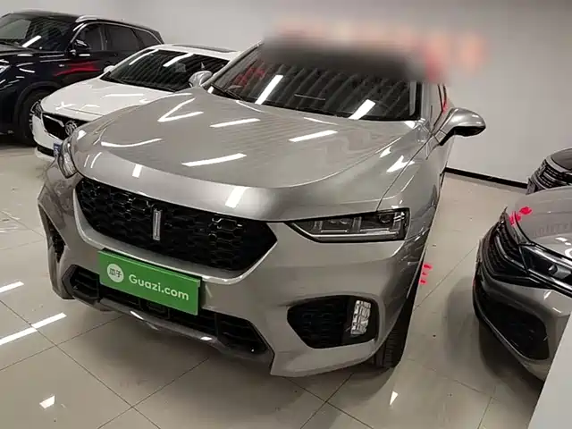 2019 Wey VV7