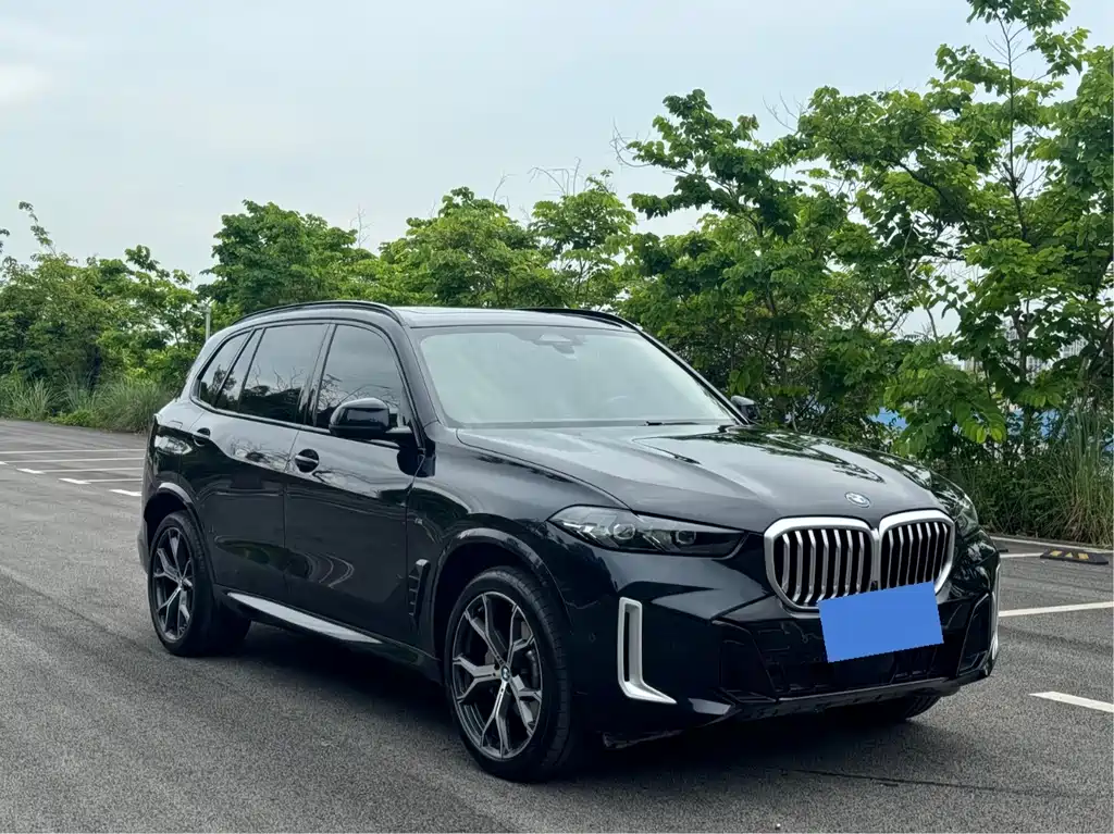 BMW X5 2025 xDrive 30Li Premium M Sport