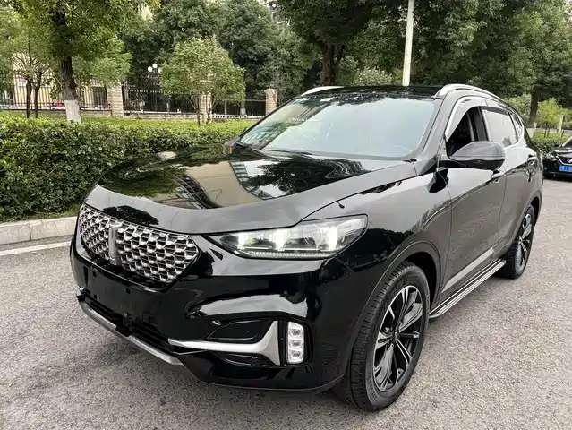 WEI PAI WEI BRAND VV6