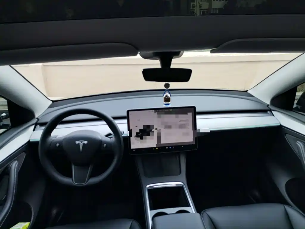 Tesla Model Y — миниатюра 10