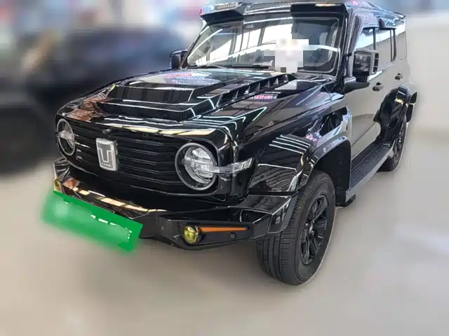 2024 TANK 300