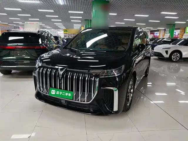 2022 Voyah Dream