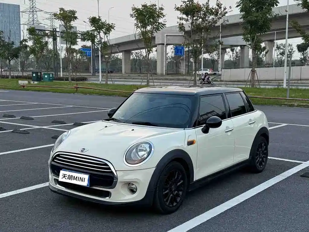 Mini Mini 2018