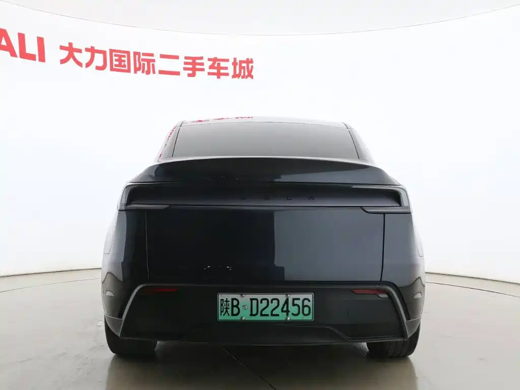 Tesla Model Y — миниатюра 8