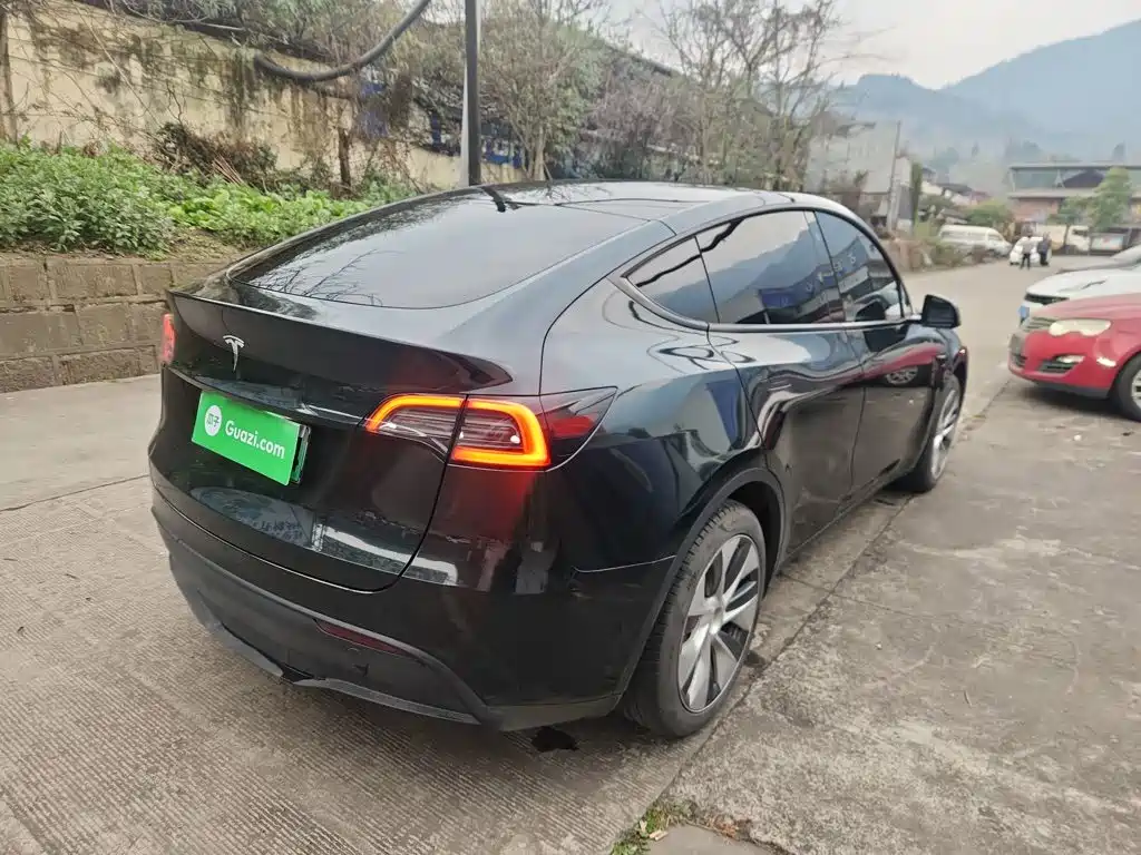Tesla Model Y — миниатюра 5