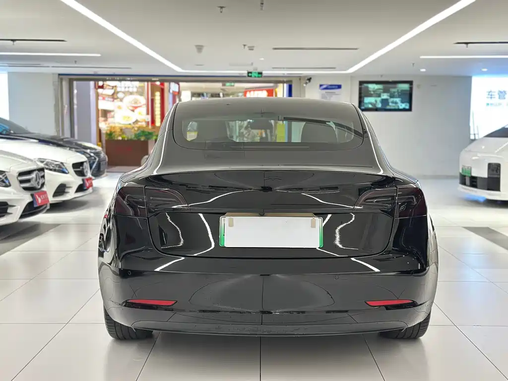 Tesla Model 3 2021 3D6