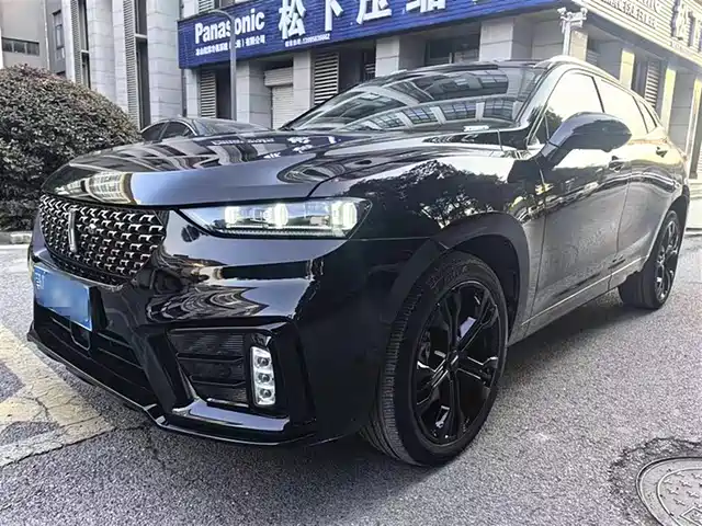 WEI PAI WEI BRAND VV7 2020