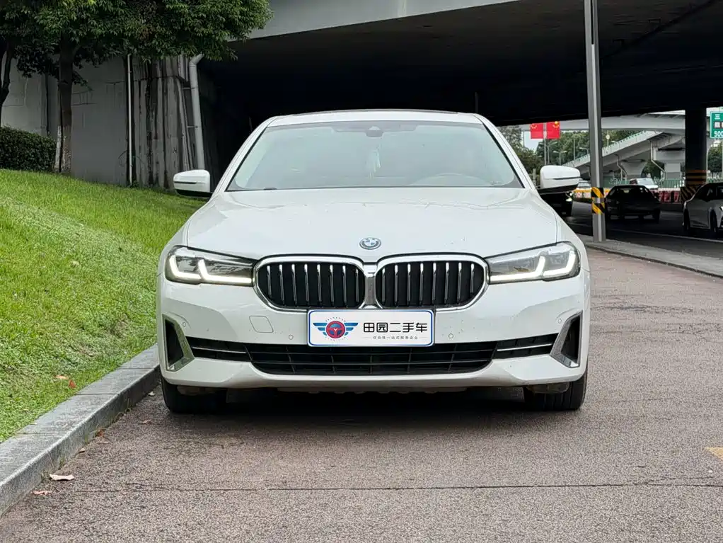 BMW 5 Series New Energy — миниатюра 2
