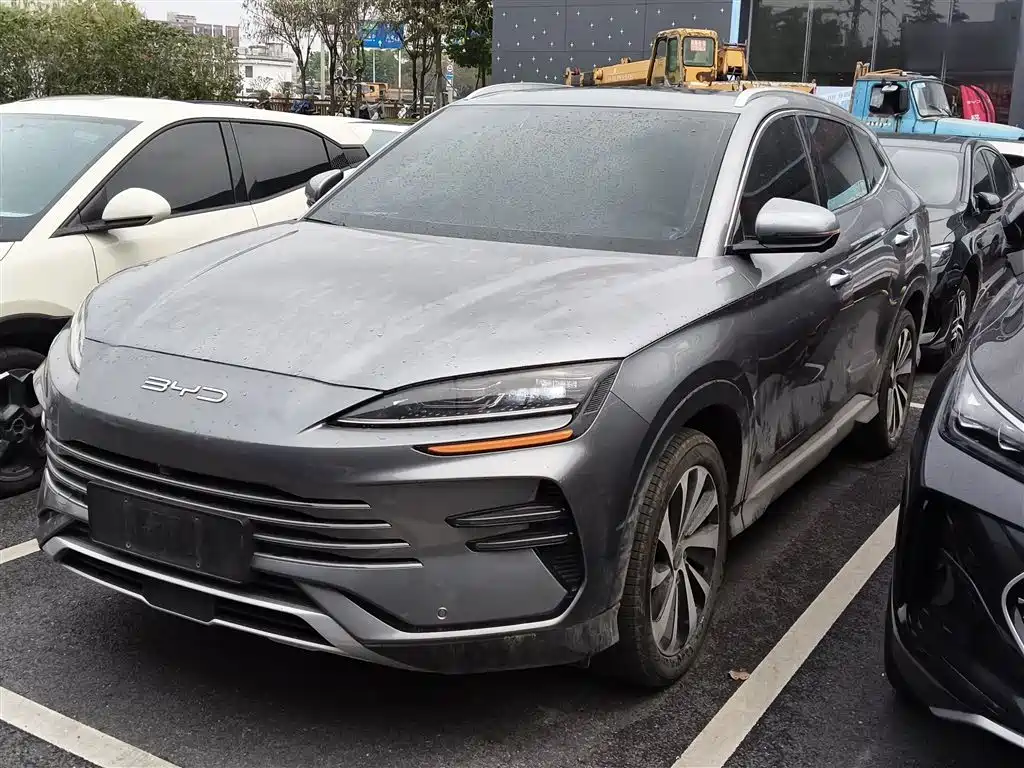 Byd PLUS New Energy 2024