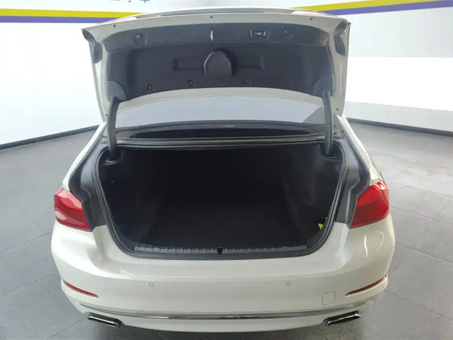 BMW 5 Series 5 2019 530Li Lead Luxury