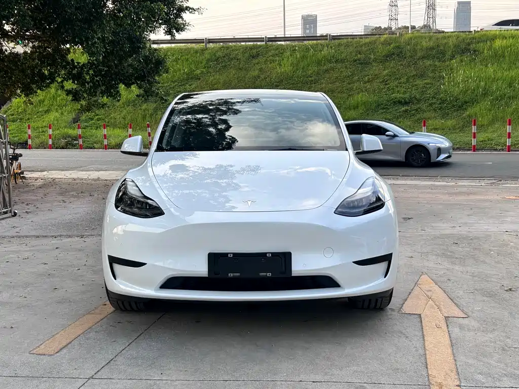 Tesla Model Y — миниатюра 3