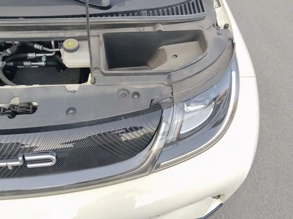 BYD Dolphin — миниатюра 21