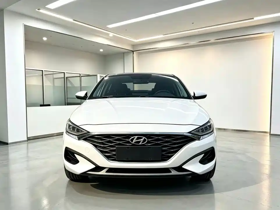 Hyundai Fista — миниатюра 2