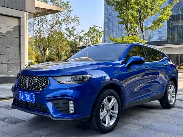 2019 Wey VV5