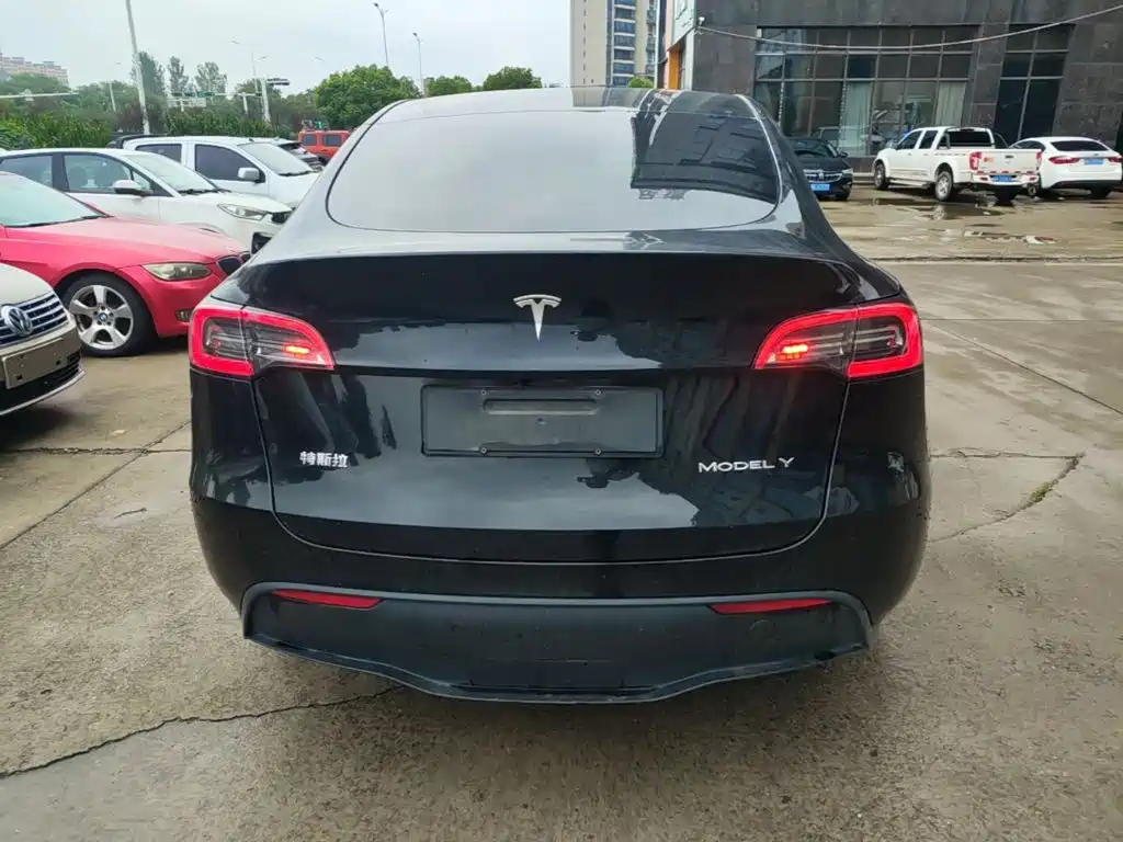 Tesla Model Y — миниатюра 6