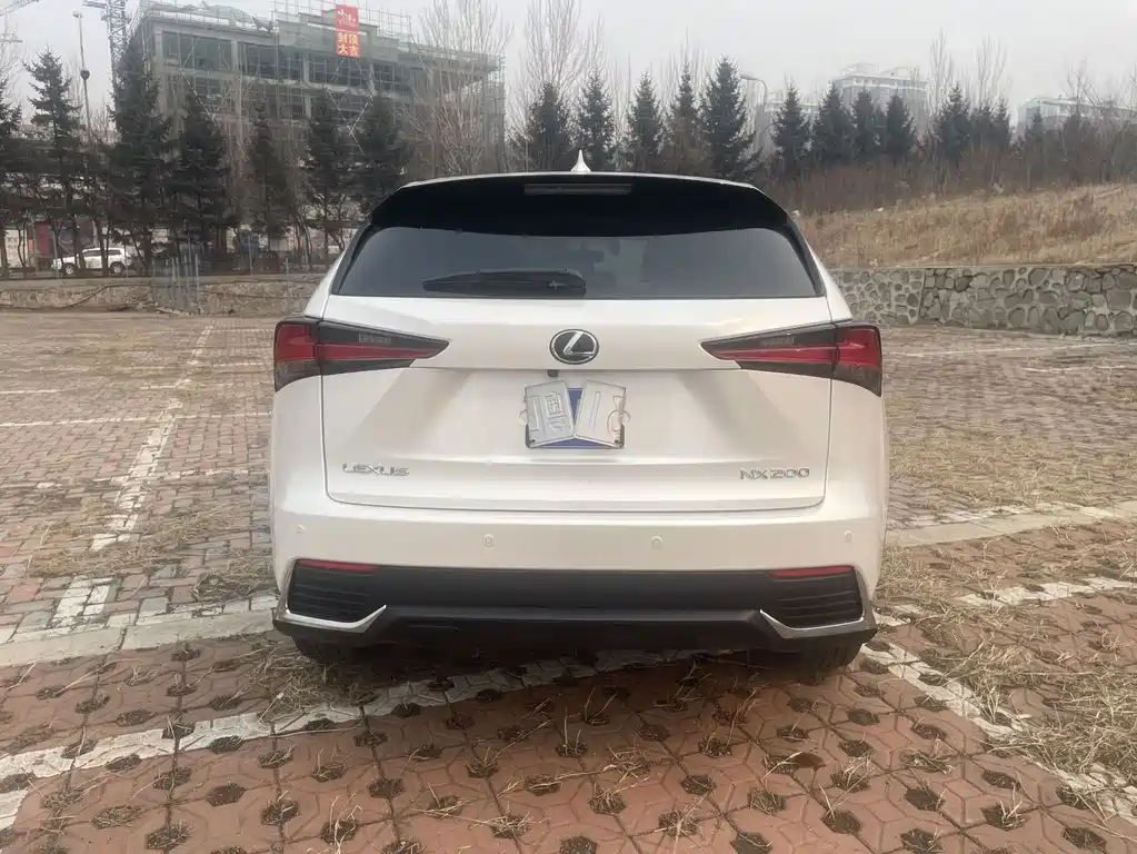 Lexus NX 200 FWD Edge Travel Edition China V, фото 6