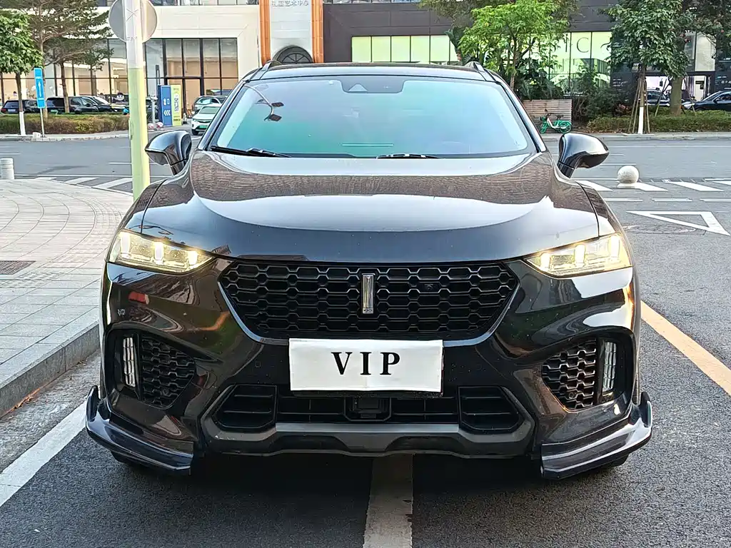 WEI PAI WEI BRAND VV7