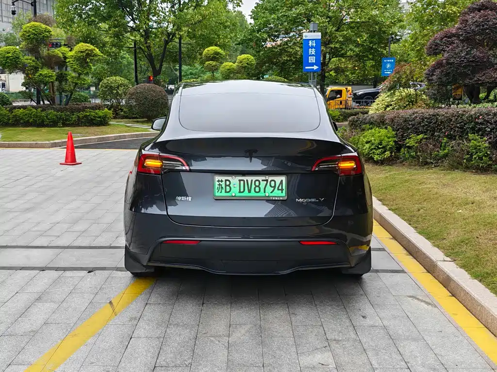 Tesla Model Y — миниатюра 8