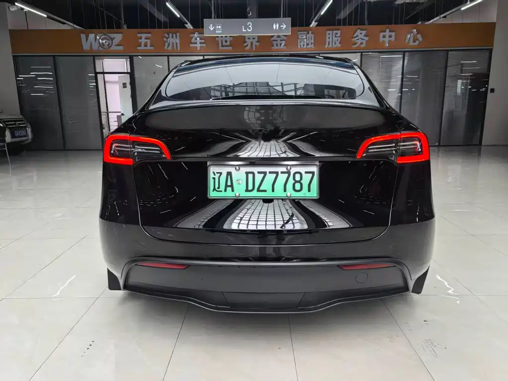 Tesla Model Y — миниатюра 5