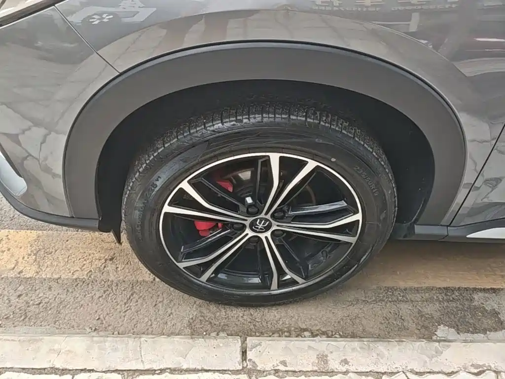BYD PLUS — миниатюра 23