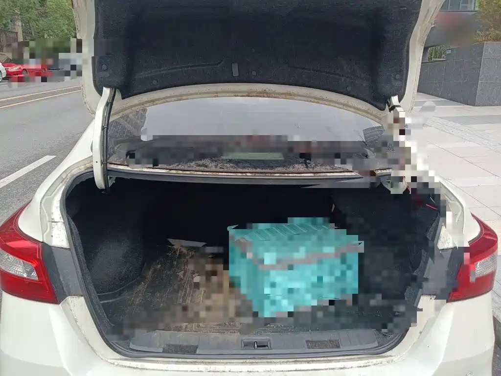 Nissan Sylphy — миниатюра 15