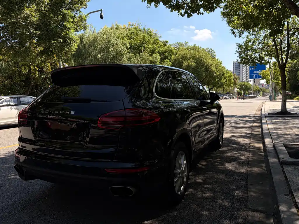 Porsche Cayenne — миниатюра 8