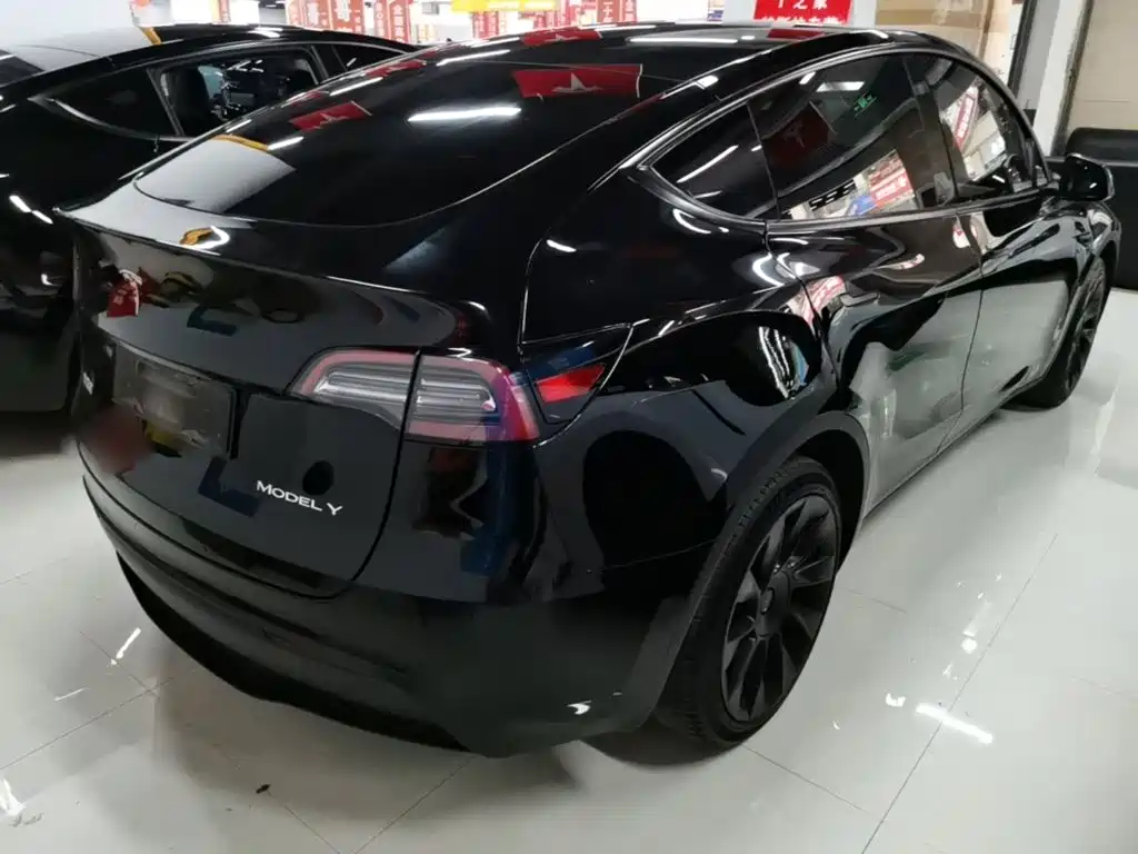 Tesla Model Y — миниатюра 7