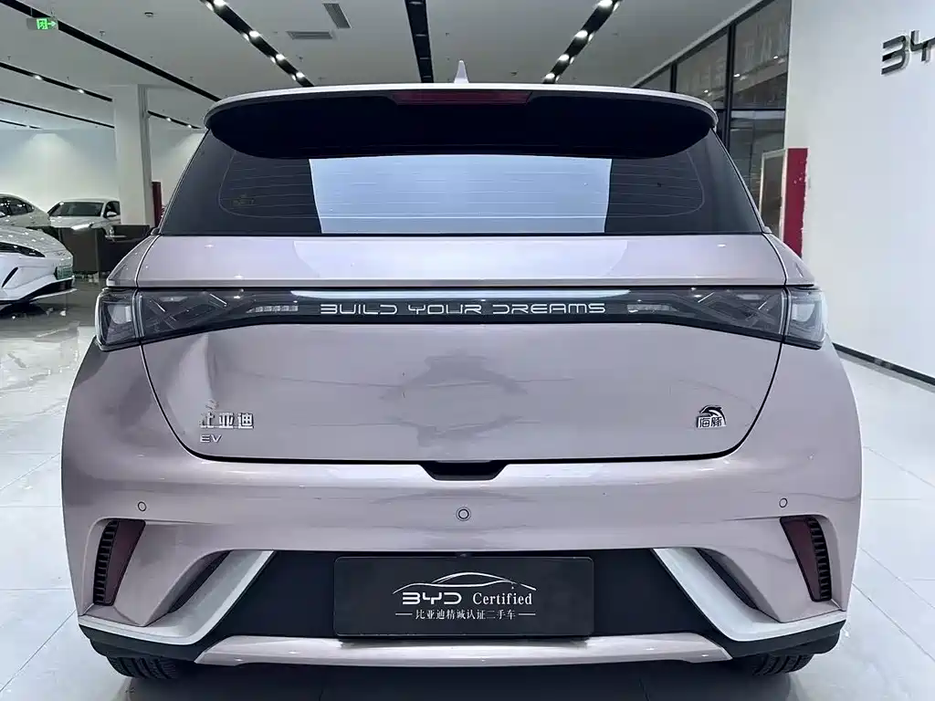BYD Dolphin — миниатюра 10