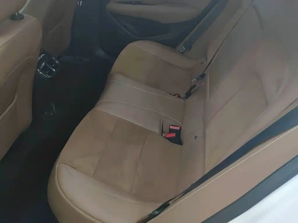 Buick Regal — миниатюра 17
