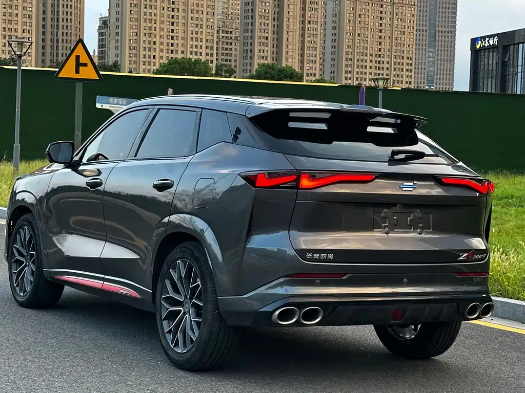 Oshan Oushang Z6 — миниатюра 10
