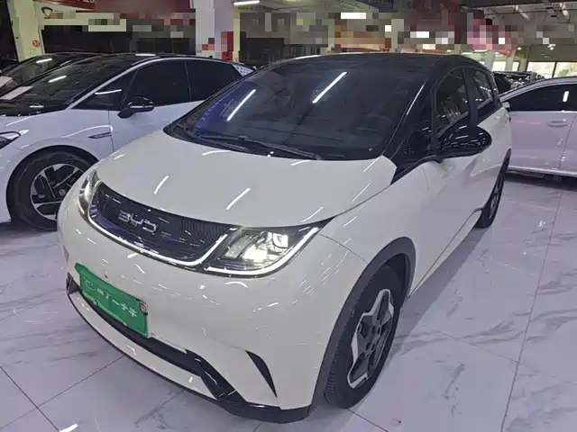 BYD Dolphin