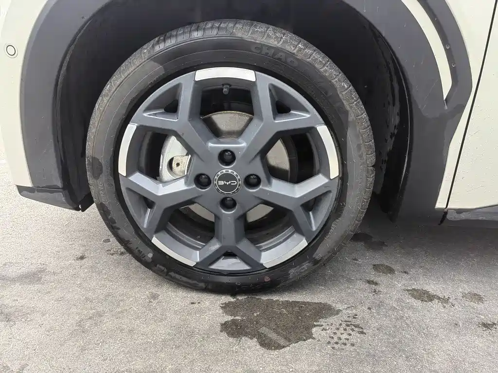 BYD Seagull 2025 405km Flying