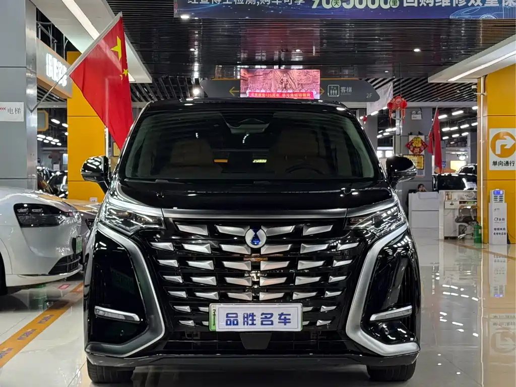 Denza Denza D9 — миниатюра 2