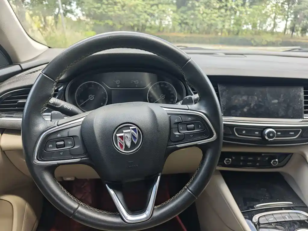 Buick Regal — миниатюра 9